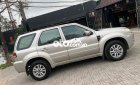 Ford Escape bán   2010 tự động chính chủ dùng 2010 - bán ford escape 2010 tự động chính chủ dùng