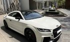 Audi TT 2017 - Không đâm đụng, ngập nước