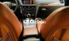 Audi A5  Q5 2010 2010 - Audi Q5 2010