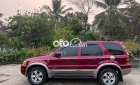 Ford Escape   2006 - Ford escape