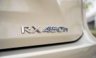 Lexus RX 450 2019 - Model 2020