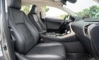 Lexus NX 300 2020 - Màu bạc, nhập khẩu nguyên chiếc