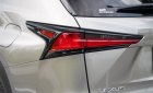 Lexus NX 300 2020 - Màu bạc, nhập khẩu nguyên chiếc