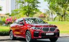 BMW M6  X6 2021 2021 - BMW X6 2021