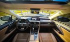 Lexus RX 350 2019 - Bao check test hãng