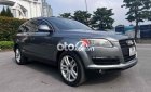 Audi Q7 AIDI  4.2 4x4 2009 2009 - AIDI Q7 4.2 4x4 2009