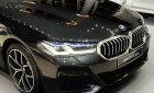 BMW 520i 2023 - Hot, ưu đãi cực tốt tại Bình Dương