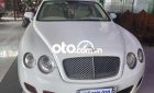 Bentley Flying Spur Can ban 2006 - Can ban
