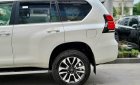 Toyota Land Cruiser Prado 2023 - Xe giao ngay