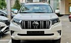 Toyota Land Cruiser Prado 2023 - Xe giao ngay