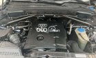 Audi A5  Q5 sx 2010 2010 - Audi Q5 sx 2010