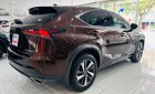 Lexus NX 300 2019 - Nhập khẩu Nhật Bản