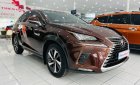 Lexus NX 300 2019 - Nhập khẩu Nhật Bản