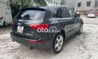 Audi A5  Q5 sx 2010 2010 - Audi Q5 sx 2010