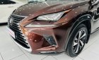 Lexus NX 300 2019 - Nhập khẩu Nhật Bản