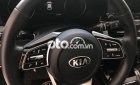 Kia Seltos Bán   premium 1.4 turbo 2020 - Bán kia seltos premium 1.4 turbo