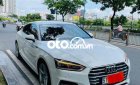 Audi A5   Sportback 2.0 TFSI 2018 Trắng nguyên Zing 2017 - Audi A5 Sportback 2.0 TFSI 2018 Trắng nguyên Zing