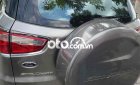 Ford EcoSport xe  màu ghi xám 2015 - xe ford màu ghi xám