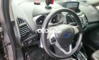 Ford EcoSport xe  màu ghi xám 2015 - xe ford màu ghi xám