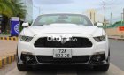 Ford Mustang   overtible EcoBoost 2015 2015 - Ford Mustang overtible EcoBoost 2015