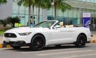 Ford Mustang   overtible EcoBoost 2015 2015 - Ford Mustang overtible EcoBoost 2015