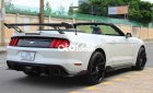 Ford Mustang   overtible EcoBoost 2015 2015 - Ford Mustang overtible EcoBoost 2015