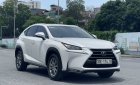 Lexus NX 200T 2015 - Xe sang giá rẻ  tên cá nhân