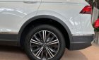 Volkswagen Volkswagen khác 2021 - Xe VW Tiguan 2021 Mới 100%