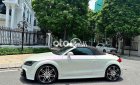 Audi TT   mui trần 2008 - audi TT mui trần