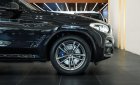 BMW X3 2019 - Màu đen nội thất kem