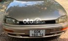 Toyota Camry   1995 xe zin đẹp kí mua bán 1995 - Toyota Camry 1995 xe zin đẹp kí mua bán