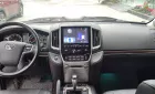 Toyota Land Cruiser VX 4.6 V8 2020 - Cần bán lại xe Toyota Land Cruiser VX 4.6 V8 sản xuất 2020, màu đen, nhập khẩu chính hãng