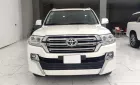 Toyota Land Cruiser 4.6 V8 2020 - Bán ô tô Toyota Land Cruiser 4.6 V8 đời 2020, màu trắng, nhập khẩu chính hãng