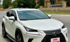 Lexus NX 300 2020 - Lexus NX300 - 2020 - 39.000 Km