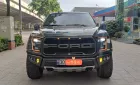 Ford F 150 Raptor 2019 - Bán xe Ford F 150 Raptor đời 2019, màu xám, nhập khẩu nguyên chiếc