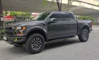 Ford F 150 Raptor 2019 - Bán xe Ford F 150 Raptor đời 2019, màu xám, nhập khẩu nguyên chiếc