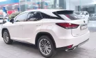 Lexus RX 300 2021 - Bán xe Lexus RX 300 đời 2021, màu trắng, nhập khẩu, giá cả thương lượng