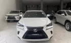 Lexus NX 300 2019 - Chính chủ bán Lexus NX300 mode 2019, sơn zin cả xe, full lịch sử hãng