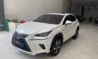 Lexus NX 300 2019 - Chính chủ bán Lexus NX300 mode 2019, sơn zin cả xe, full lịch sử hãng