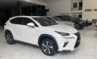 Lexus NX 300 2019 - Chính chủ bán Lexus NX300 mode 2019, sơn zin cả xe, full lịch sử hãng