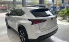 Lexus NX 300 2019 - Chính chủ bán Lexus NX300 mode 2019, sơn zin cả xe, full lịch sử hãng