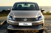 Volkswagen Polo E 2016 - Cần bán xe Volkswagen Polo E 2016, màu nâu, xe nhập giá 767 triệu tại Tp.HCM