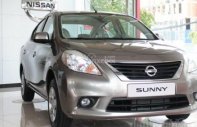 Nissan Sunny XV-SE 2016 - Bán ô tô Nissan Sunny XV-SE sản xuất 2016, màu nâu giá 528 triệu tại Hà Nội