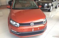 Volkswagen Polo 2016 - Bán Volkswagen Polo đời 2016, màu vàng, nhập khẩu, 760tr giá 760 triệu tại Đắk Lắk