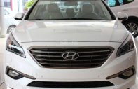 Hyundai Sonata 2.0 AT 2018 - Bán xe Hyundai Sonata 2018, nhập khẩu, giao xe ngay, liên hệ:0906721088 giá 1 tỷ 40 tr tại Tp.HCM