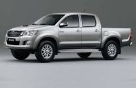 Toyota Hilux G 2012 - Bán Toyota Hilux G đời 2012, màu bạc, nhập khẩu giá 540 triệu tại Hà Tĩnh