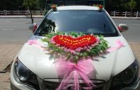 Hyundai Avante 2013 - Xe Hyundai Avante đời 2013, màu trắng xe gia đình giá cạnh tranh giá 440 triệu tại Hậu Giang