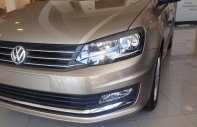 Volkswagen Polo 2016 - Bán xe Volkswagen Polo đời 2016, màu nâu, nhập khẩu, giá tốt giá 779 triệu tại An Giang