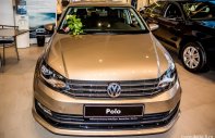 Volkswagen Polo GP 2016 - Bán ô tô Volkswagen Polo GP năm 2016, màu nâu, xe nhập, 699 triệu. LH: 0978877754 Ms Phượng nhận giá tốt nhất giá 699 triệu tại An Giang