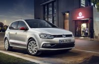 Volkswagen Polo E 2016 - Bán Volkswagen Polo E đời 2016, màu bạc, nhập khẩu giá 729 triệu tại An Giang